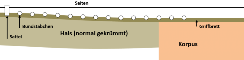 Gitarrenhals und Krümmung Gitarrenhals und Krümmung