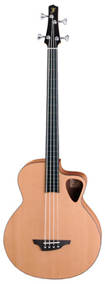 Akustik-Bass